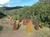 167 Craft Road, Wollombi, NSW 2325-Image