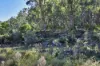 167 Craft Road, Wollombi, NSW 2325-Image
