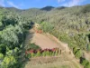 167 Craft Road, Wollombi, NSW 2325-Image
