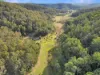 167 Craft Road, Wollombi, NSW 2325-Image