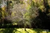 167 Dollar Bill Drive, Swanfels, Qld 4371-Image