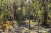 167 Dollar Bill Drive, Swanfels, Qld 4371-Image