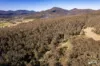 167 Dollar Bill Drive, Swanfels, Qld 4371-Image