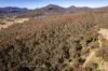 167 Dollar Bill Drive, Swanfels, Qld 4371-Image