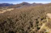 167 Dollar Bill Drive, Swanfels, Qld 4371-Image