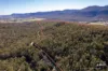 167 Dollar Bill Drive, Swanfels, Qld 4371-Image