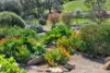 167 Mills Road, Kanmantoo, SA 5252-Image