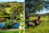 167 Mills Road, Kanmantoo, SA 5252-Image