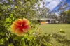 167 Ogilvie Drive, Tabulam, NSW 2469