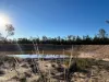 167  Waratah Drive, Millmerran Downs, Qld 4357-Image