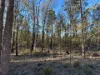 167  Waratah Drive, Millmerran Downs, Qld 4357-Image