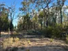 167  Waratah Drive, Millmerran Downs, Qld 4357-Image