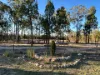 167  Waratah Drive, Millmerran Downs, Qld 4357-Image