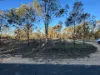 167  Waratah Drive, Millmerran Downs, Qld 4357-Image