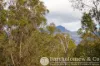 168 Spicers Gap Road, Clumber, Qld 4309-Image