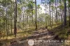 168 Spicers Gap Road, Clumber, Qld 4309-Image