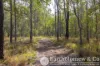 168 Spicers Gap Road, Clumber, Qld 4309-Image