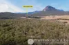 168 Spicers Gap Road, Clumber, Qld 4309-Image