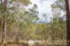 168 Spicers Gap Road, Clumber, Qld 4309-Image