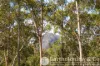 168 Spicers Gap Road, Clumber, Qld 4309-Image