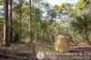 168 Spicers Gap Road, Clumber, Qld 4309-Image