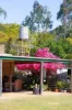 169 F Holts Road, Pine Mountain QLD 4306-Image