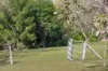 169 F Holts Road, Pine Mountain QLD 4306-Image