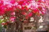 169 F Holts Road, Pine Mountain QLD 4306-Image