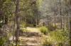 169 F Holts Road, Pine Mountain QLD 4306-Image