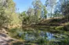 169 F Holts Road, Pine Mountain QLD 4306-Image