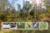 169 F Holts Road, Pine Mountain QLD 4306-Image