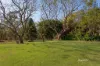 169 F Holts Road, Pine Mountain QLD 4306-Image