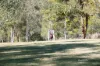 169 F Holts Road, Pine Mountain QLD 4306-Image