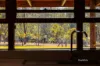 169 F Holts Road, Pine Mountain QLD 4306-Image