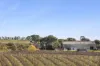 1696 Midland Highway, Bannockburn, Vic 3331-Image