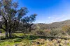 1697 Triamble Road, Mudgee, NSW 2850-Image