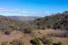 1697 Triamble Road, Mudgee, NSW 2850-Image