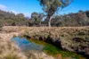 1697 Triamble Road, Mudgee, NSW 2850-Image