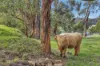 17 Suckling Road, Kernot, Vic 3979-Image