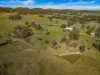 170 Carrowbrook Road, Singleton NSW 2330-Image