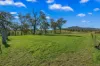 170 Carrowbrook Road, Singleton NSW 2330-Image