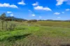 170 Carrowbrook Road, Singleton NSW 2330-Image