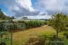 170 Old Stanley Road, Beechworth, Vic 3747-Image