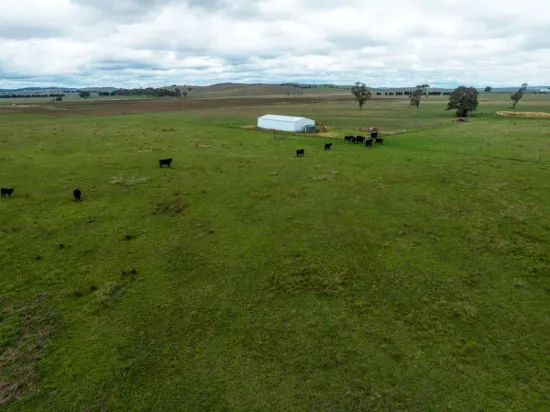 1706 Braidwood Road, Tarago, NSW 2580