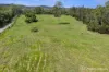 1712 Harvey Siding Road, Curra, Qld 4570-Image