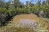 1712 Harvey Siding Road, Curra, Qld 4570-Image