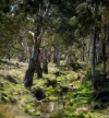 1718 Ophir Road, Orange, NSW 2800