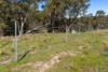 1718 Ophir Road, Orange, NSW 2800-Image