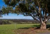1718 Ophir Road, Orange, NSW 2800-Image