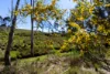 1718 Ophir Road, Orange, NSW 2800-Image